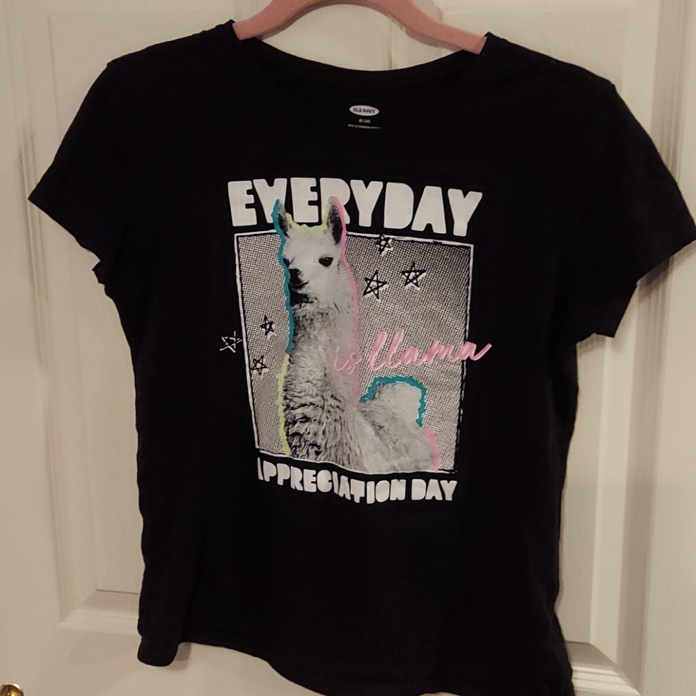 Everyday is Llama Appreciation Day Black Short Sleeve Tee Child Size 14